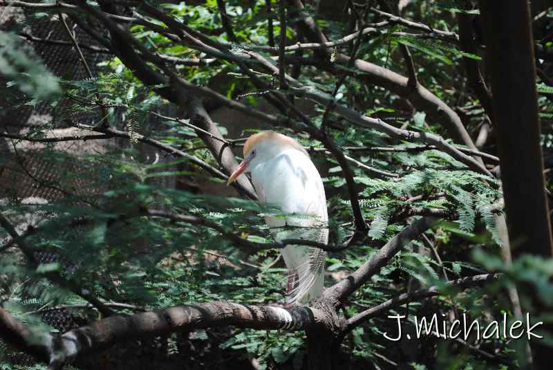 DSC_8593.JPG