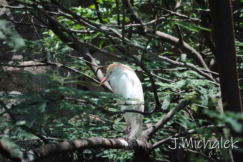 DSC_8594.JPG