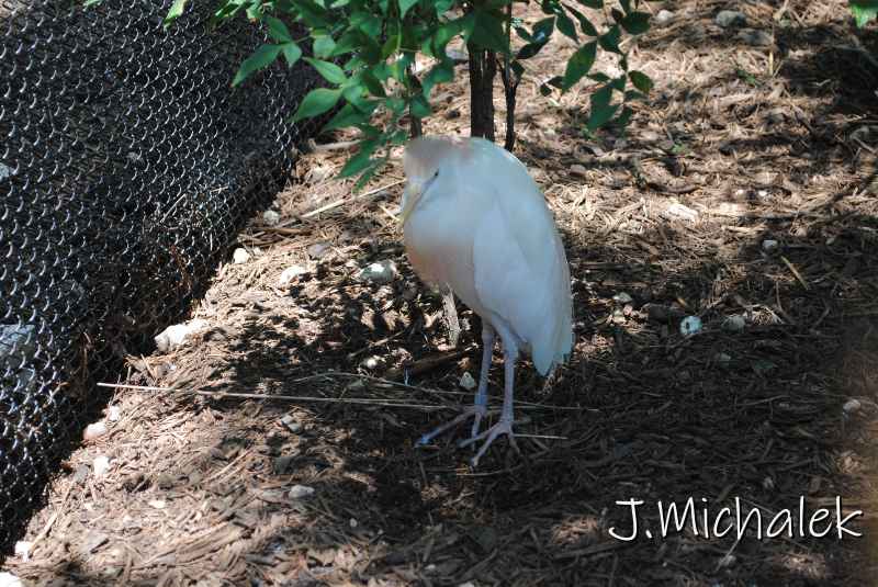 DSC_8595.JPG