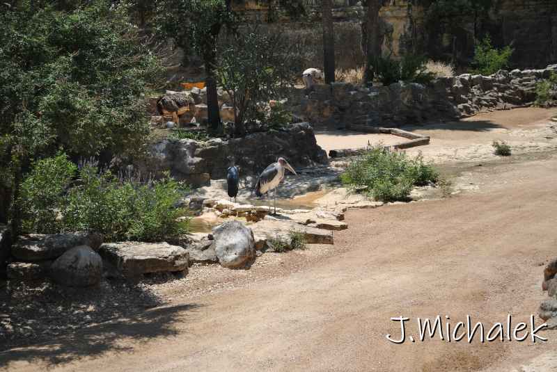 DSC_8632.JPG