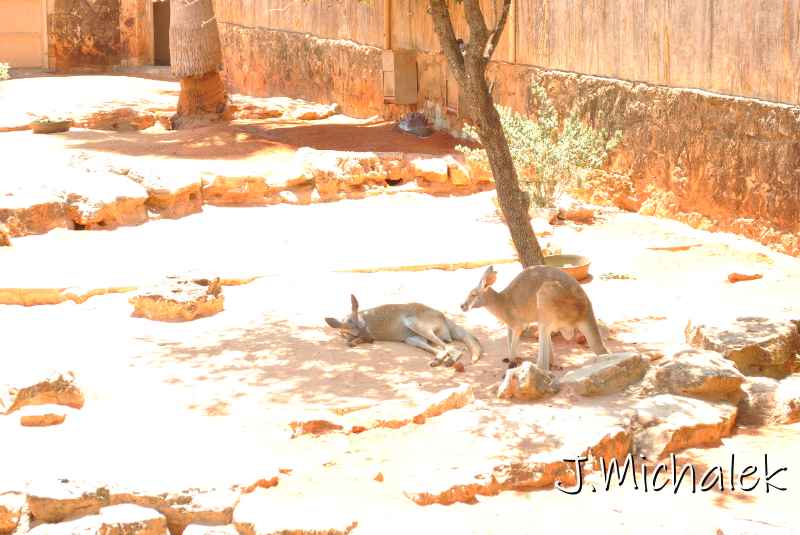 DSC_8635.JPG