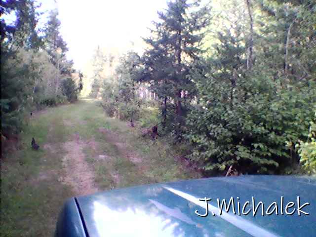 Pic_0819_177.jpg