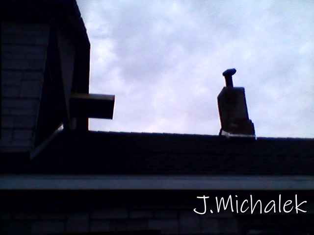 Pic_0823_220.jpg