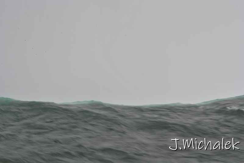 DSC_0680.JPG