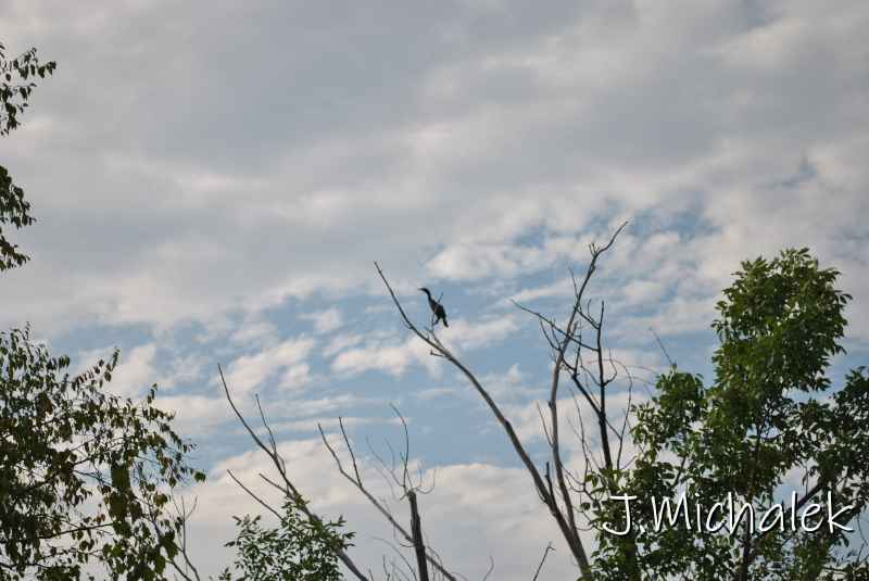 DSC_0792.JPG