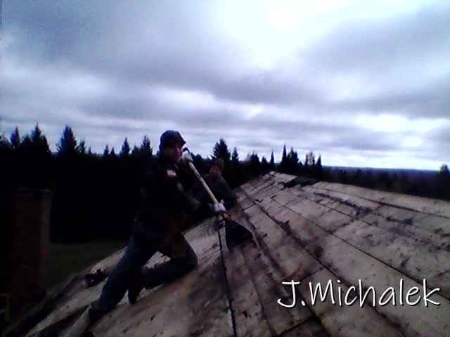 Pic_1020_384.jpg