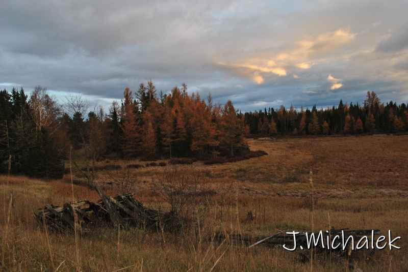 DSC_1209.JPG
