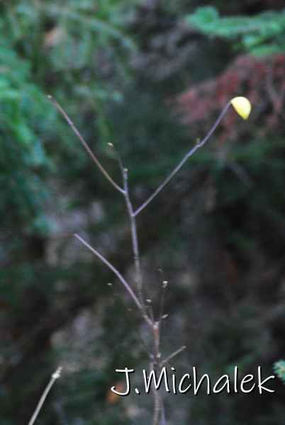 DSC_1216.JPG