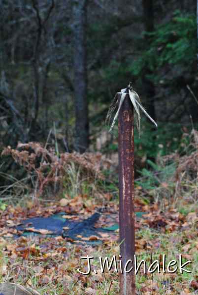 DSC_1237.JPG