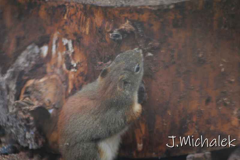 DSC_1265.JPG