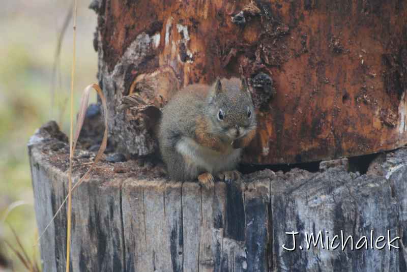 DSC_1273.JPG