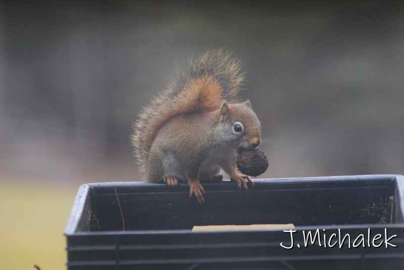 DSC_1282.JPG