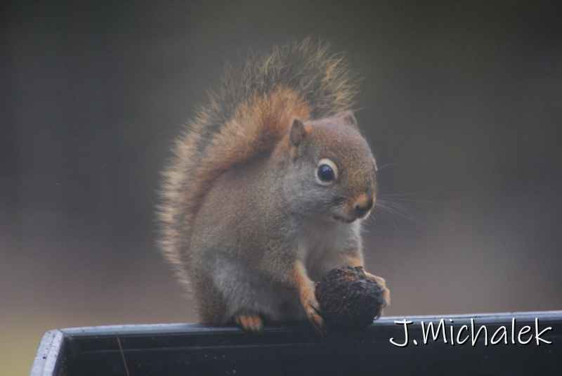 DSC_1286.JPG