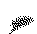 dithshadow.gif