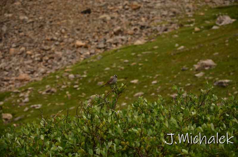 D7K_5857.JPG