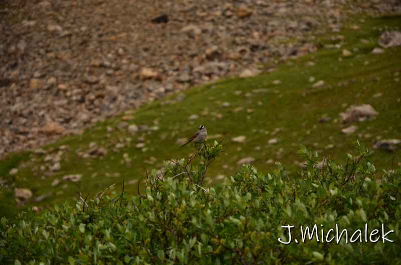 D7K_5859.JPG