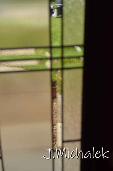 D7K_8810.JPG