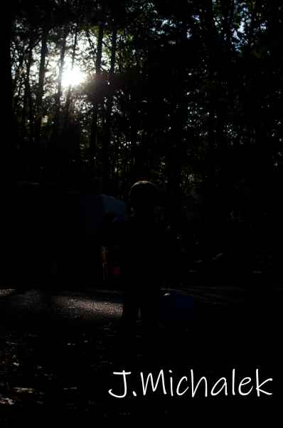 D7K_9533.jpg