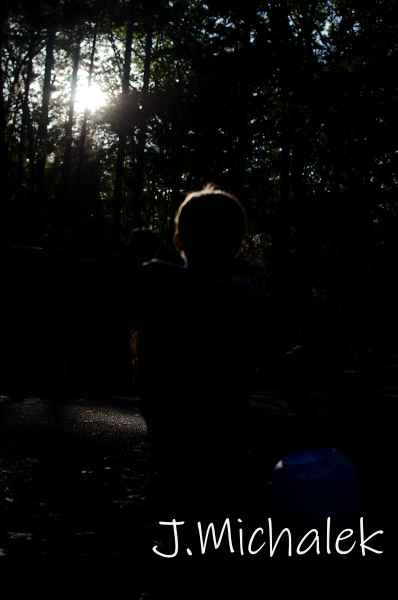 D7K_9539.jpg