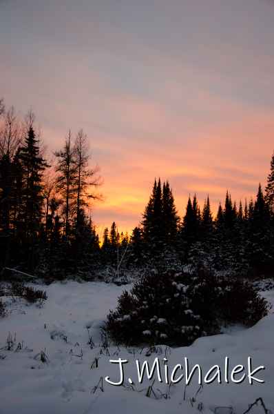 D7K_0103.jpg