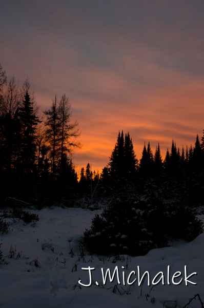 D7K_0104.jpg