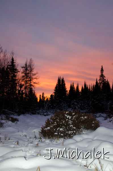 D7K_0105.jpg