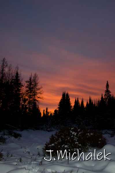 D7K_0107.jpg
