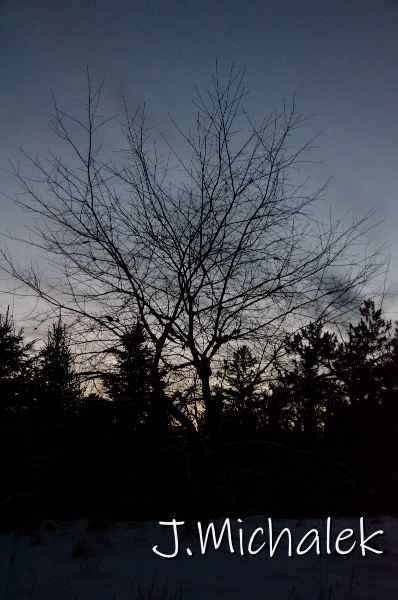 D7K_9994.jpg