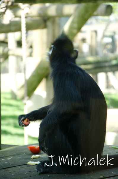 D7L_1971.jpg