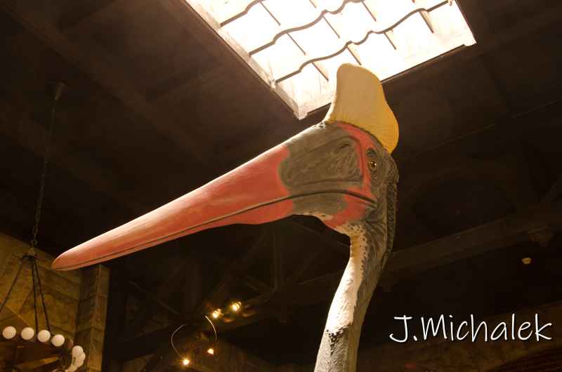 D7L_2056.jpg