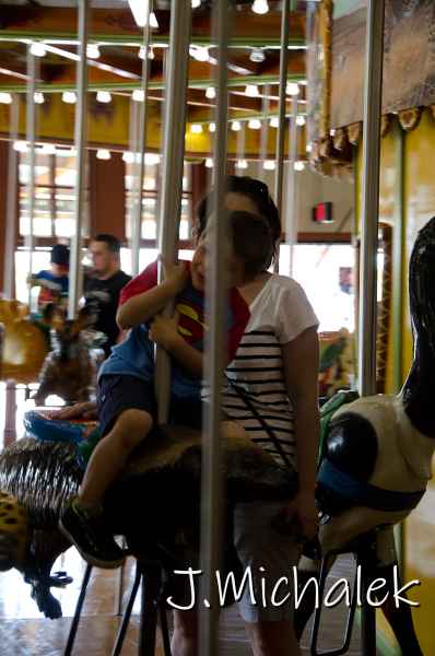 D7L_2121.jpg