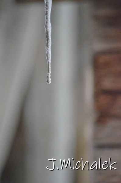 D7L_6322.JPG