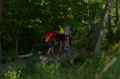 2014_0803_YoungStatePark