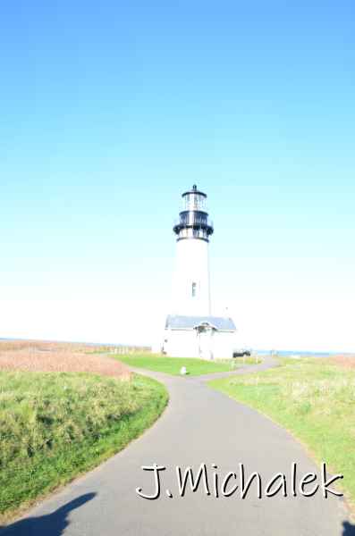 D7L_7082.JPG
