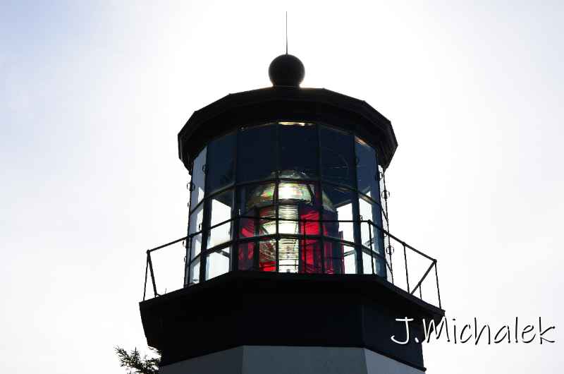 D7L_7107.JPG