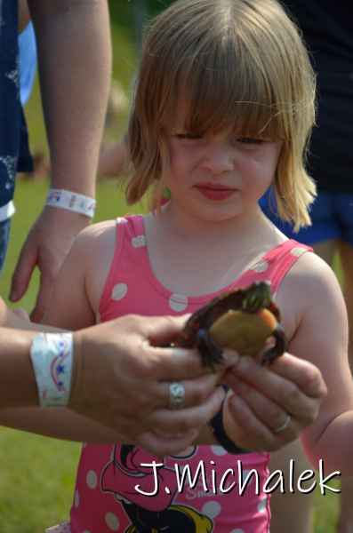 D7L_8870.JPG