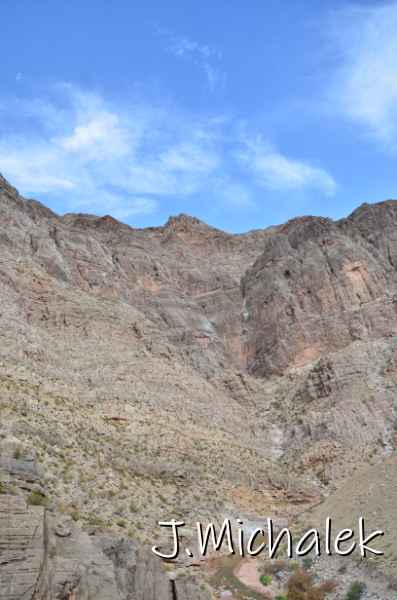 D7L_8964.JPG