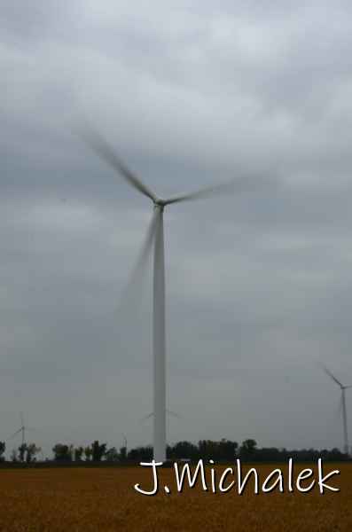 D7L_9601.JPG
