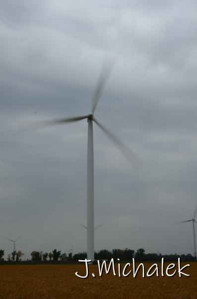 D7L_9602.JPG