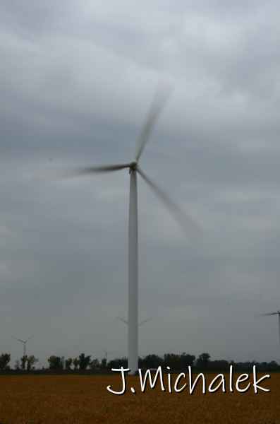 D7L_9603.JPG