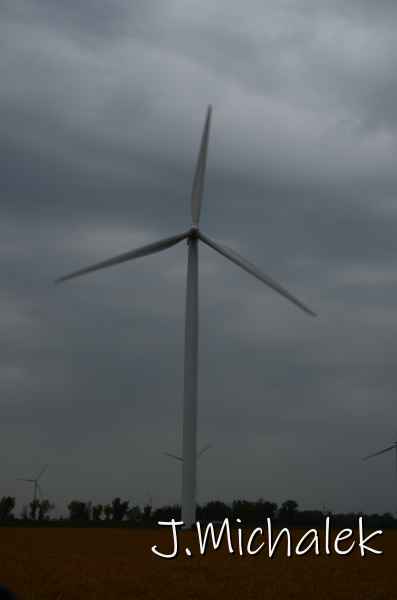 D7L_9604.JPG