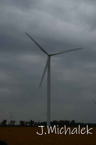 D7L_9605.JPG