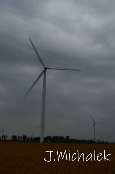 D7L_9608.JPG