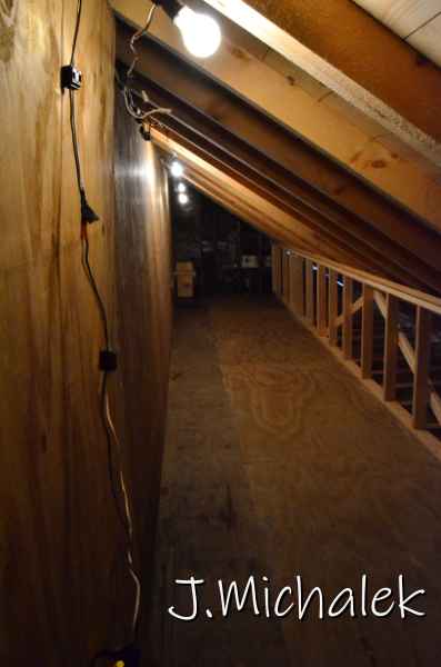 D7L_9835.JPG