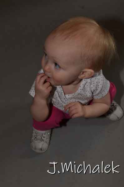 D7M_1065.JPG