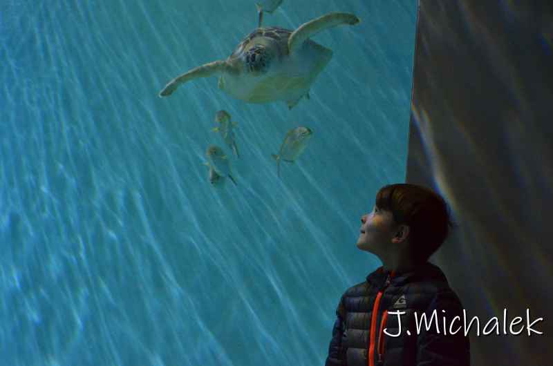 D7M_1518.JPG