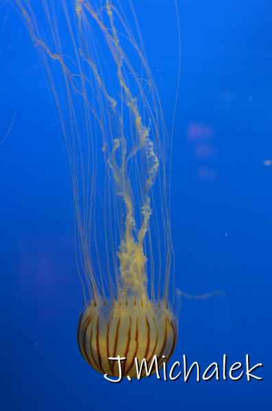 D7M_1567.JPG