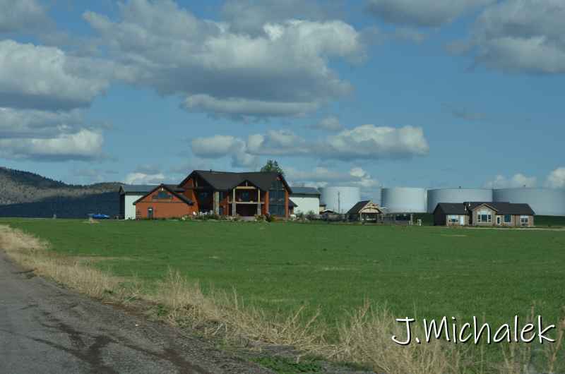 D7M_1728.JPG