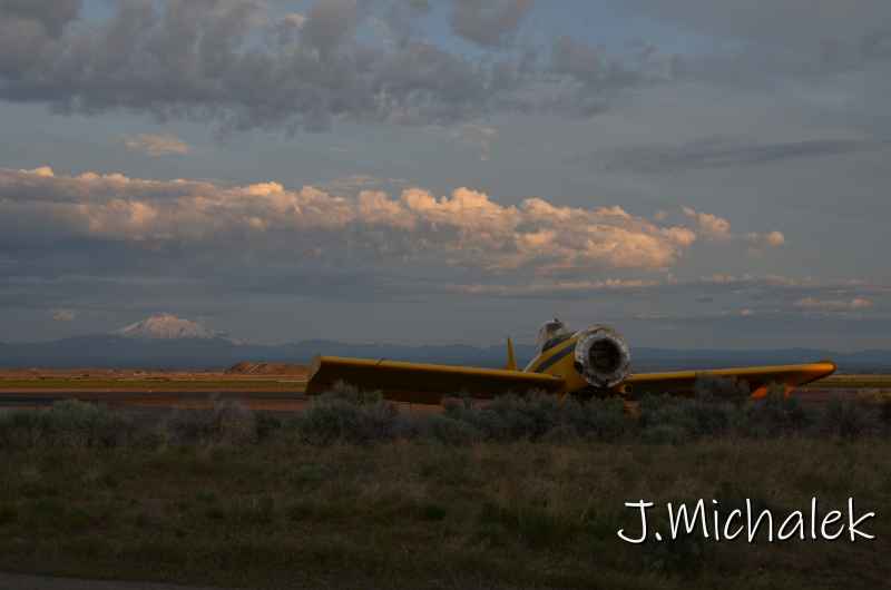 D7M_1751.JPG