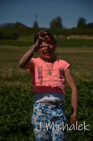 D7M_3569.JPG